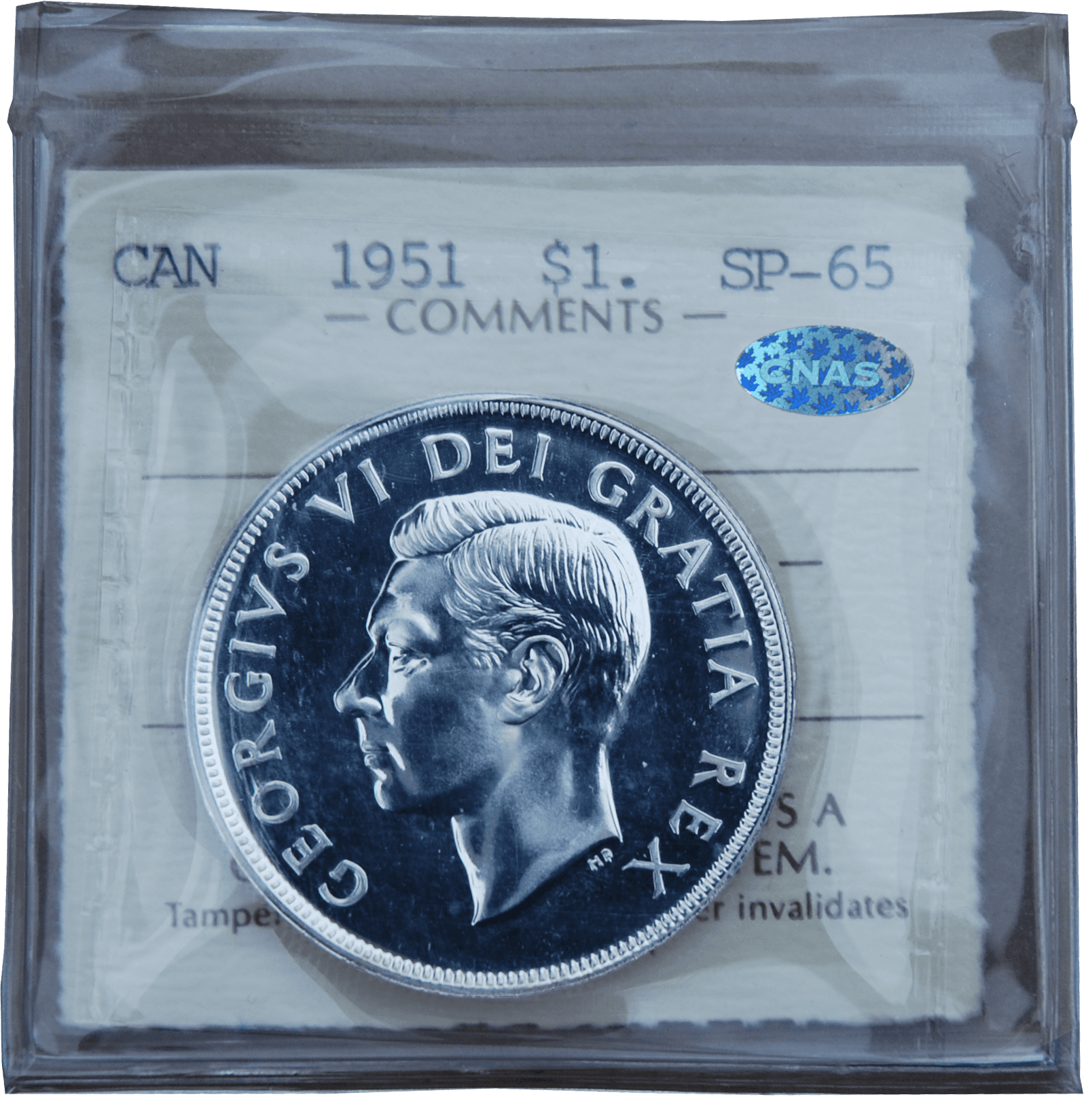 Silver Coin